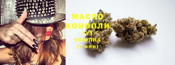 меф Гатчина