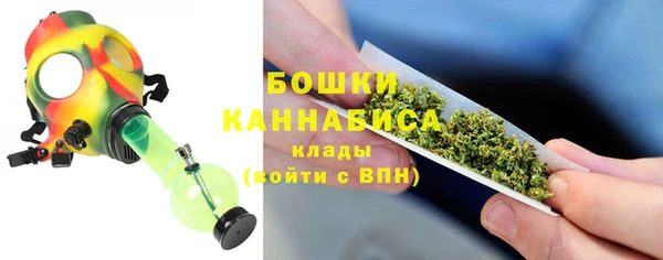 ALPHA PVP Семёнов