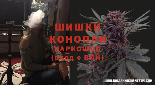 ALPHA PVP Семёнов