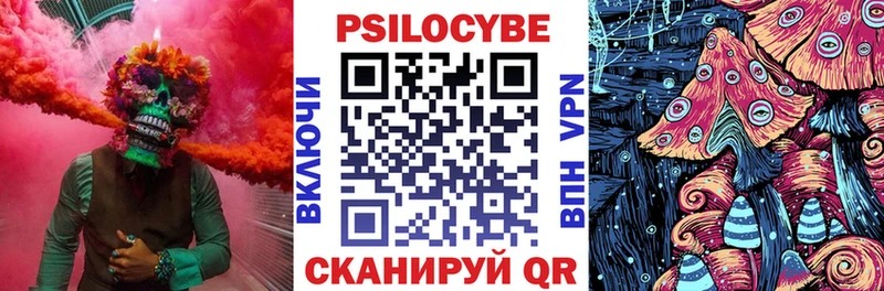 Псилоцибиновые грибы мицелий  Дальнегорск 