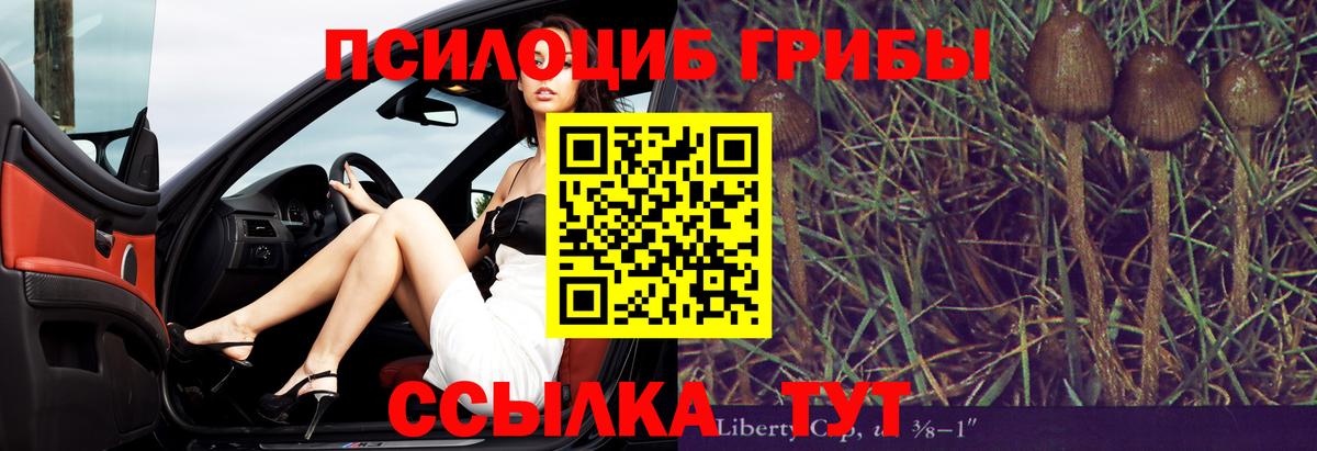 Дальнегорск  Псилоцибиновые грибы мицелий  Вход с VPN 